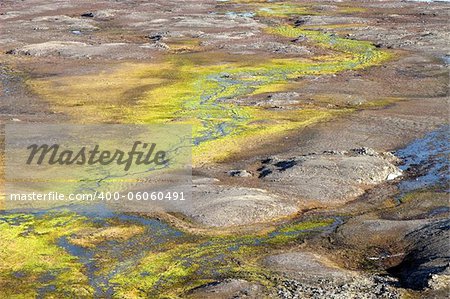 Arctic summer landscape - green tundra