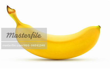 Vector illustration of detailed shiny yellow banana