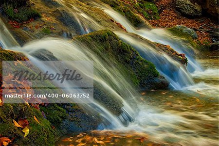 A small waterfall is surrounded by moss and fallen autumn maple leaves