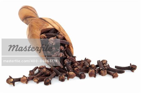 Clove spice food seasoning in an olive wood scoop over white background. Alternative remedy for toothache.