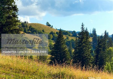 Summer mountain landscape with flowering grassland in front