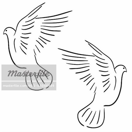 Concept of love or peace. Set of white vector doves.