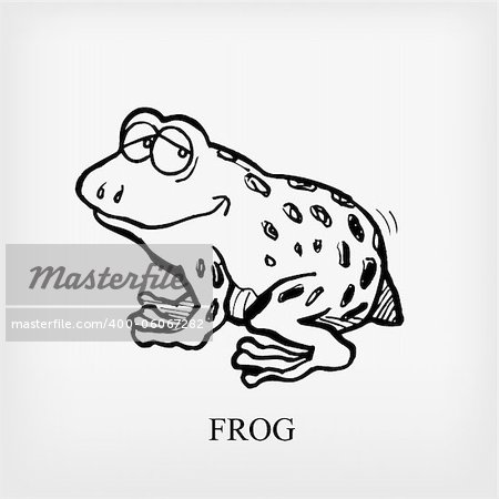 Frog. Vector illustration. EPS include