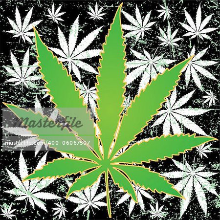 Illustration of marijuana leaves as a background.