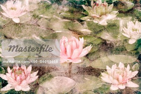 Water Lily on dirty grunge textured canvas