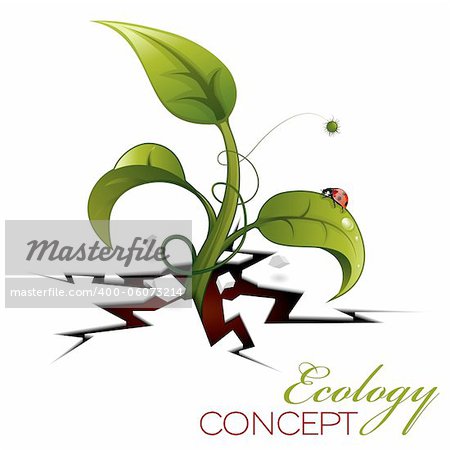 Green Sprout, Break out of the Cracks with Water Drops and Ladybug, vector illustration