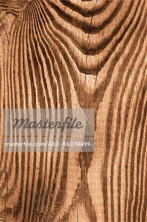 Structure macro of new wooden cutting board. Sepia