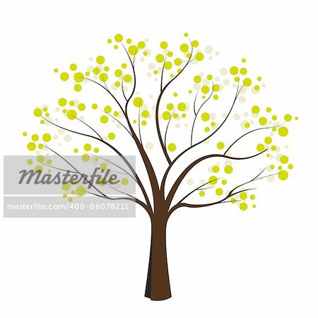 green tree on white background