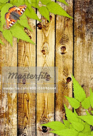 Message of nature. Old wooden planks, green leaves and butterfly