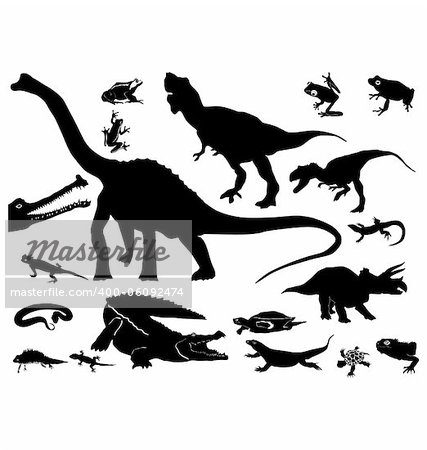 The set of the silhouettes of the reptiles
