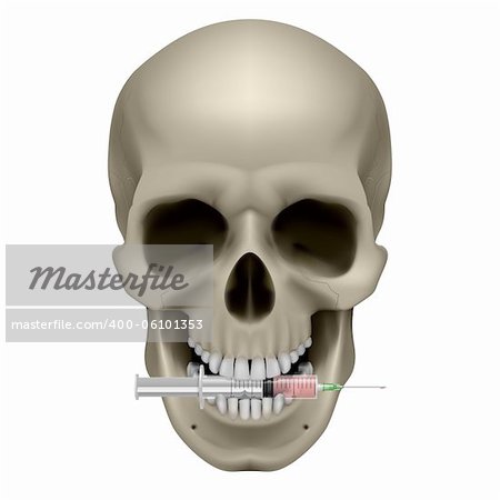 Realistic skull with a cigarette. Illustration on white background