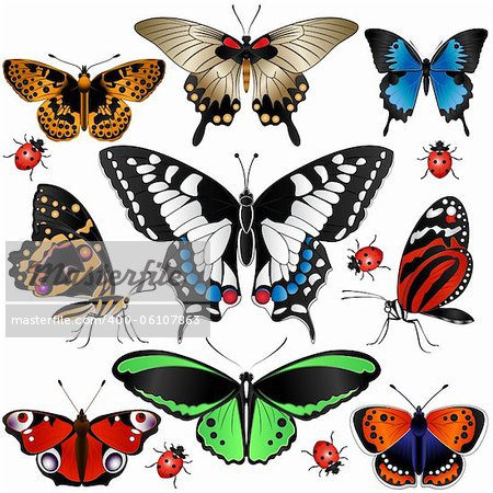 Vector of Collection of many butterflies and ladybugs