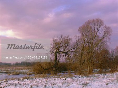 Winter afternoon by the river