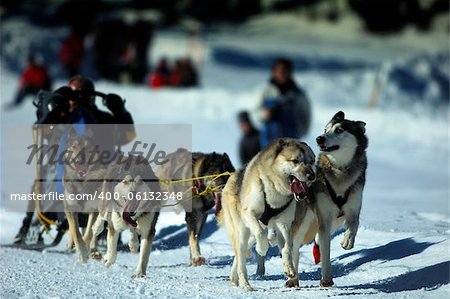 Race in Bavarian-Germany