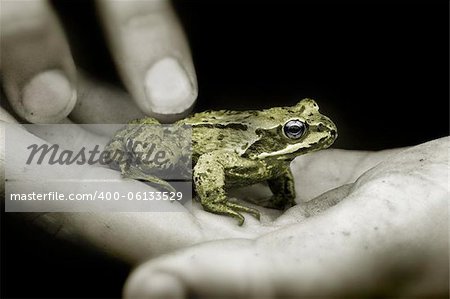 Holding a Tiny Frog