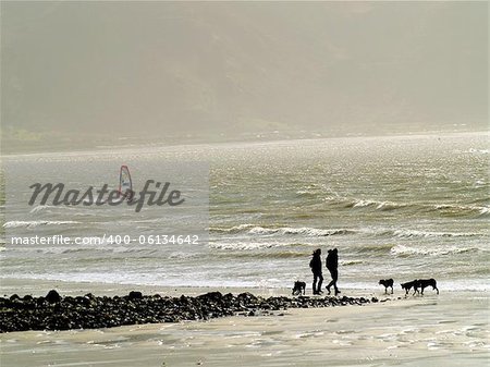 Walking the dogs on Westshore, Llandudno, North Wales.