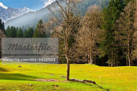 Landscape Park in the Foothills of Italian Alps