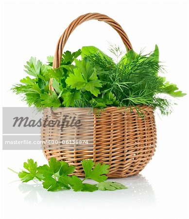 fresh spicy herb in basket isolated on white background