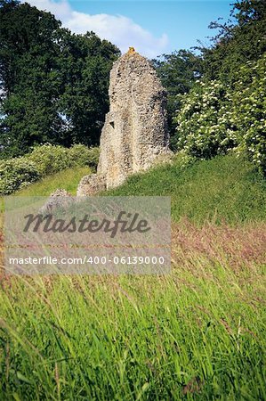 overgrown ruins of berkhamsted castle in hertfordshire england, built by the normans in the motte and bailey style