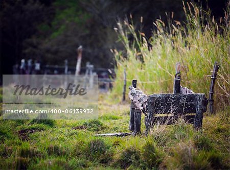 Rough old wooden farm equipment in Costa Rican ranch