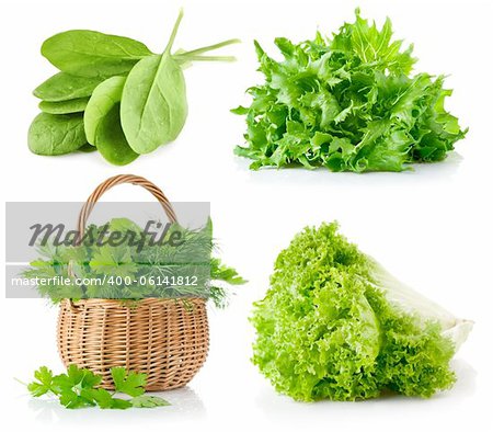 set fresh leaves herbs isolated on white background