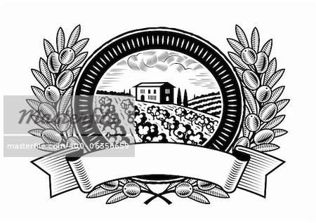Olive harvest label in woodcut style. Black and white vector illustration.