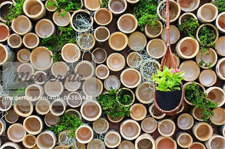 Wood texture with natural patterns background