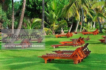 Beach beds between tropical trees on green grass