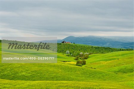 Farmhouse and Church over Green Sloping Meadows of Tuscany