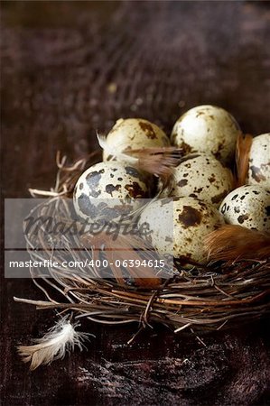 Quail eggs and feathers in a nast on an old wooden board.