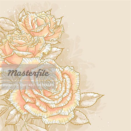 The contour drawing pink roses with leaves on toned background. Watercolor style. Can be used as background for invitation cards.