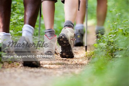 group of man and women during hiking excursion in woods, walking in a queue along a path. Low section view