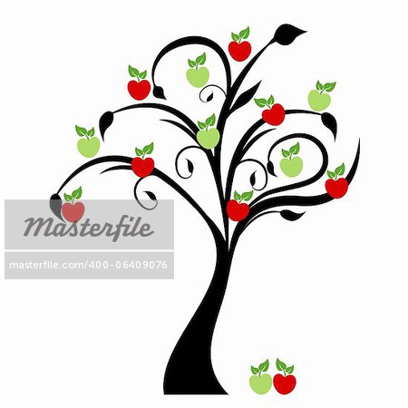 Beautiful apple tree isolated on white background