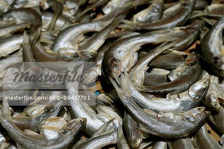 Mackerel fish at market, Thailand