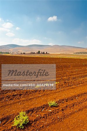 Sprinkler Irrigation on a Plowed Field in Israel