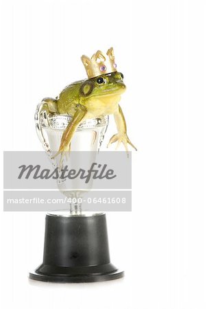 frog in a trophy isolated on white background
