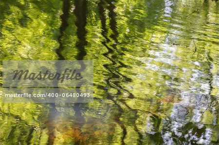 Pond reflections as abstract green background. Natural water texture.