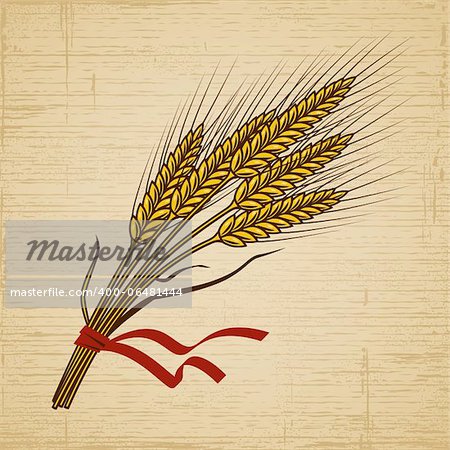 Retro cereal ears on wooden background. Vector illustration in woodcut style.