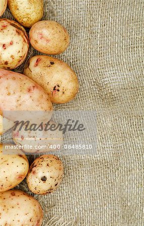 Frame of Raw Potato closeup on Sacking background