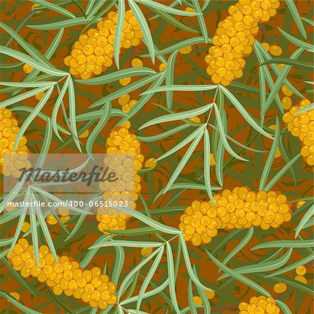 seamless orange  sea-buckthorn with leafs, twig background