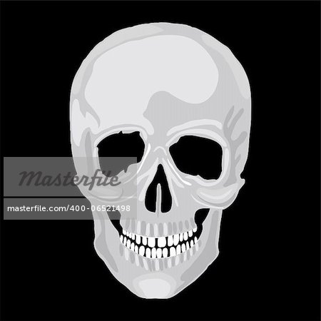 Human skull model. Vector object scull illustration. People bone design  isolated on black background. Halloween symbol.