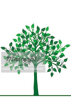 Illustration of a green tree