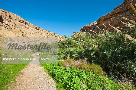 Riverbed in the Judean Mountain, Israel