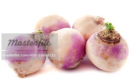 freshly harvested spring turnips (Brassica rapa) on a white background