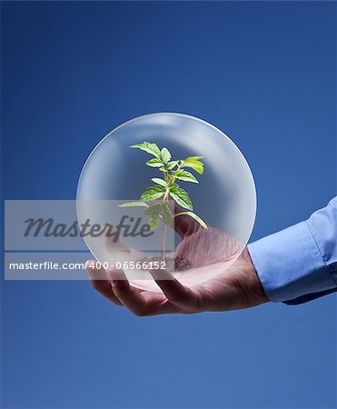 Environmental friendly business concept - businessman hand holding plant in glass sphere