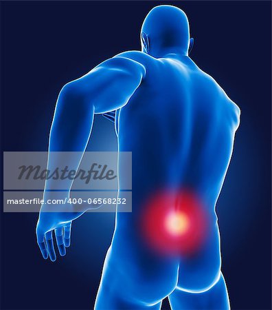 3D medical man with lower back highlighted