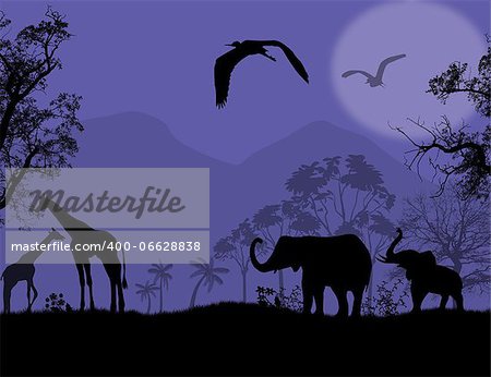 African wildlife at blue sunset, with elephants and giraffe, vector illustration