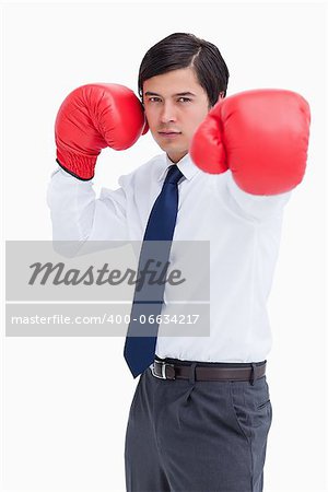 Young tradesman with boxing gloves striking against a white background