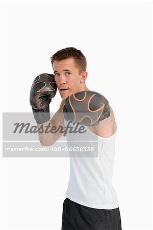 Boxer attacking against a white background