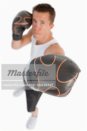 High angle view of boxer against a white background